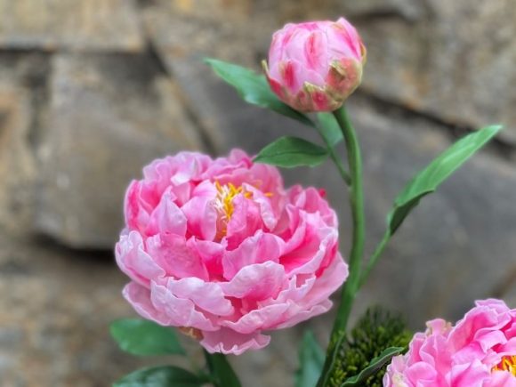 4 Khach Viet Dua Nhau Mua Cay Bonsai La Gia Hang Trieu Dong Co Den Dau Het Den Do