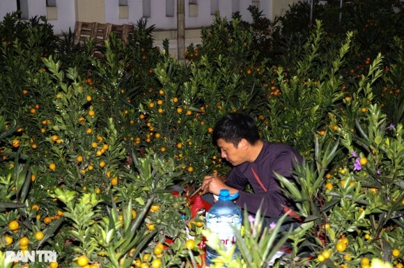 1 Canh An Bo Ngu Bui Mat Nham Mat Mo Cua Nhung Nguoi Buon Tet