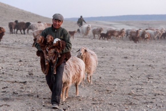 1 Gay Tranh Cai Vi Dua Nhan Vien Di An Thit Cuu Thay Thuong Tet