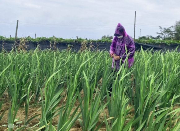 1 Nguoi Trong Lay On Tet Lo Nang Vi Mua Ret