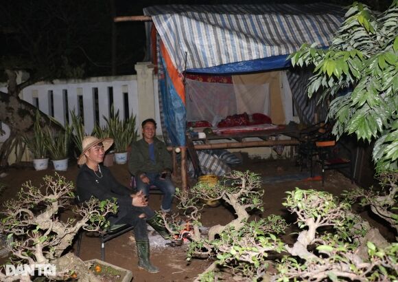 3 Canh An Bo Ngu Bui Mat Nham Mat Mo Cua Nhung Nguoi Buon Tet