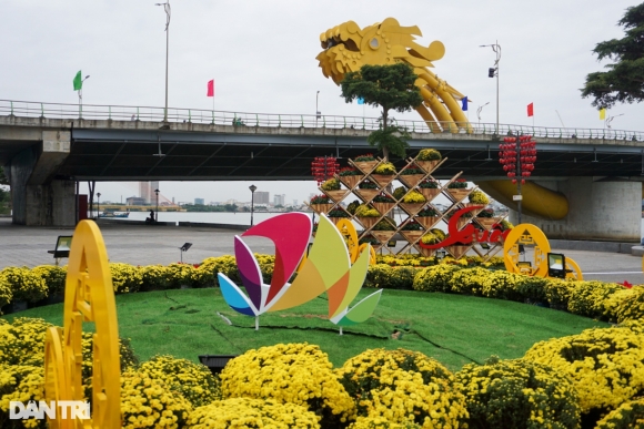 3 Da Nang Thao Do Linh Vat Meo Bi To Dao Nhai