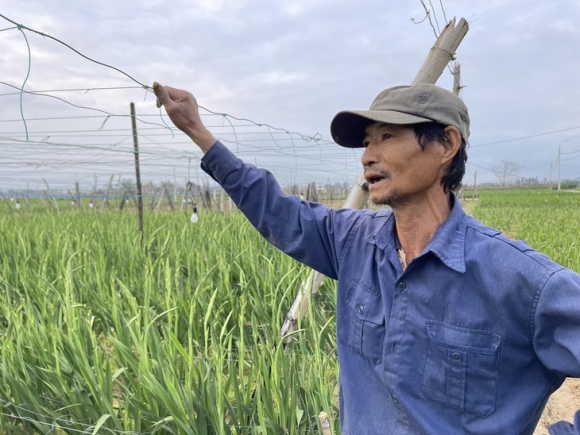 1 Vua Lay On Lon Nhat Nhi Mien Trung Khong No Nguoi Trong Hoa Mat Tet