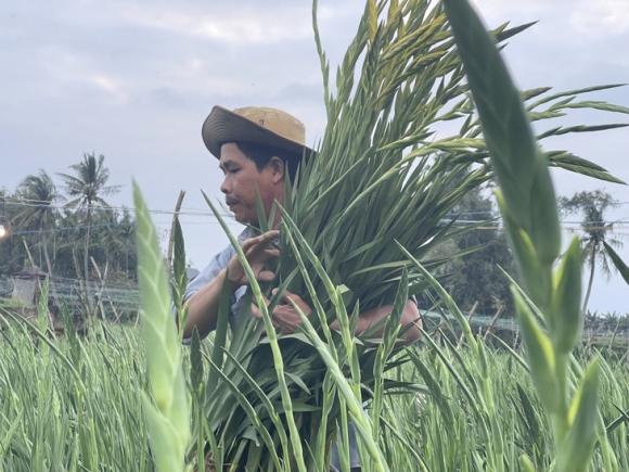 3 Vua Lay On Lon Nhat Nhi Mien Trung Khong No Nguoi Trong Hoa Mat Tet