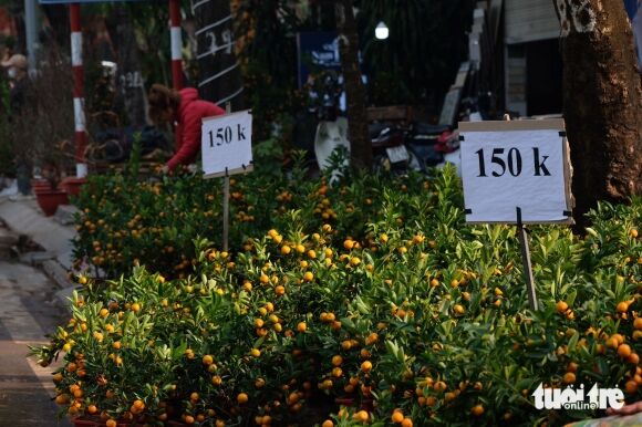 6 Xa Hang Hoa 30 Tet Khong Mac Ca Met Lam Roi