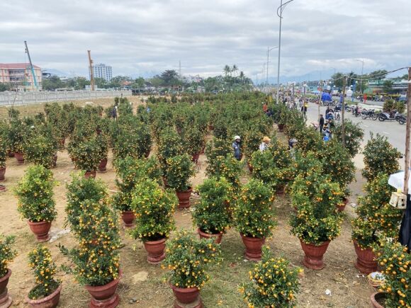 8 Xa Hang Hoa 30 Tet Khong Mac Ca Met Lam Roi