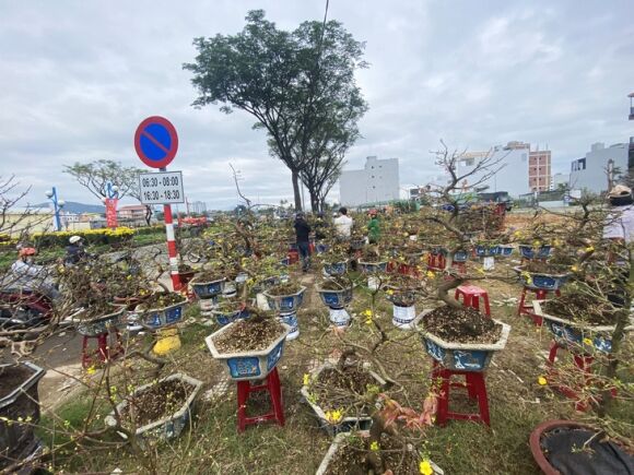 9 Xa Hang Hoa 30 Tet Khong Mac Ca Met Lam Roi