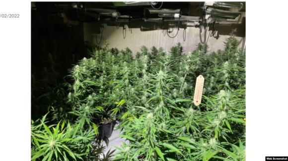 1 Anh Dot Kich Duong Day Buon Nguoi O London Phat Hien 3 Nan Nhan Nguoi Viet