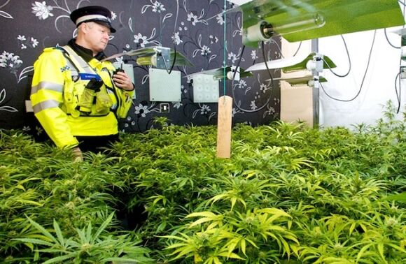 1 Anh Cung Voi Nan Nhan Buon Nguoi Lam Chuyen Phi Phap