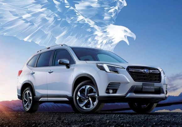 4 Phan Khuc Suv Hang C Nhieu Mau Xe Moi Trong Do Co Xe Dien Canh Tranh