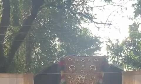 1 Den An Do Dung Voi Robot Lam Le