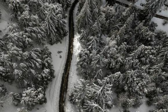 2 Bao Tuyet Thanh Ac Mong O California