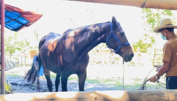 3 Cuoc Song Thu Gi Cung Co Trong Nha Tu Philippines