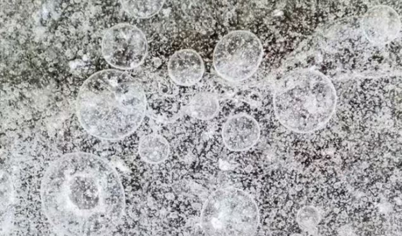 1 Canh Bao Ve Virus Nguy Hiem Hon Covid 19 Trong Boi Canh Trai Dat Nong Len