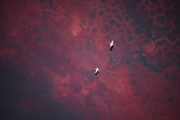 4 Tin Tuc The Gioi 28 4 Quan He My   Han Dang Manh Nhat Nga Lam Hat Nhan Cho Tho Nhi Ky