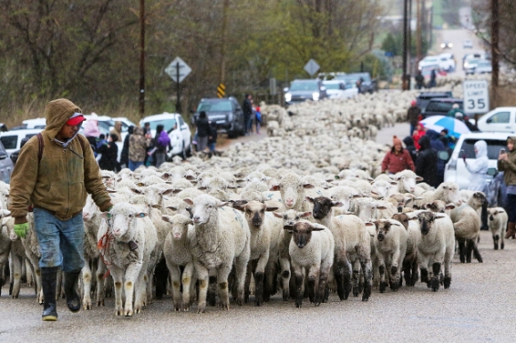 3 2500 Con Cuu Tran Ra Cao Toc My Nguoi Dan Thich Thu Ngam Nhin