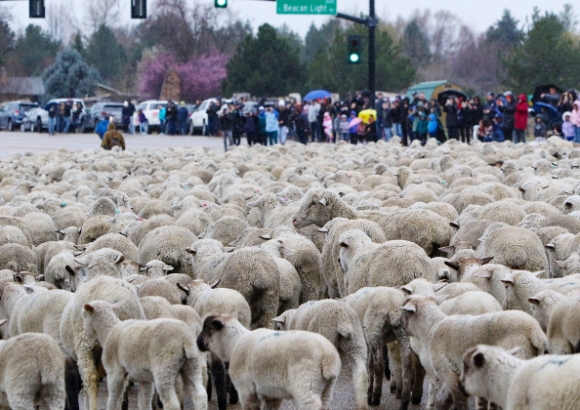 5 2500 Con Cuu Tran Ra Cao Toc My Nguoi Dan Thich Thu Ngam Nhin