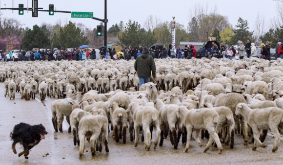 6 2500 Con Cuu Tran Ra Cao Toc My Nguoi Dan Thich Thu Ngam Nhin