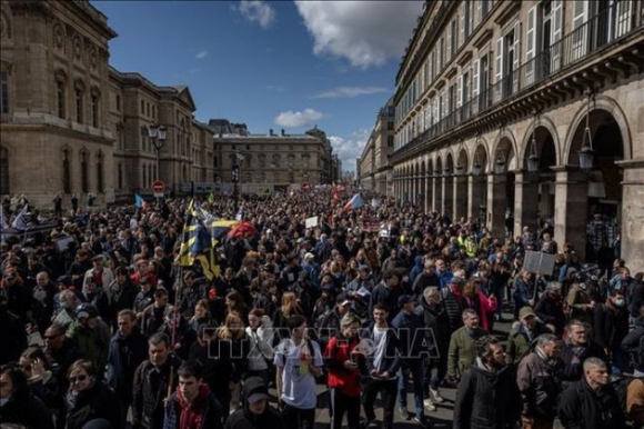 1 Bieu Tinh Phan Doi Luat Cai Cach Huu Tri Tai Phap