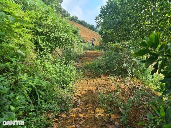 1 Dat Khai Hoang Mua 18 Trieu Dongm2 Gio Ban Nua Gia Van E