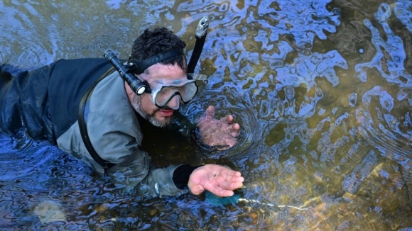 1 California Len Con Sot Tim Vang Sau Mua Dong Mua Lu