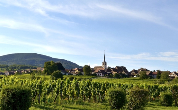 5 Kham Pha Colmar  Ngoi Lang Co Tich Dep Tua Nang Tho Cua Nuoc Phap