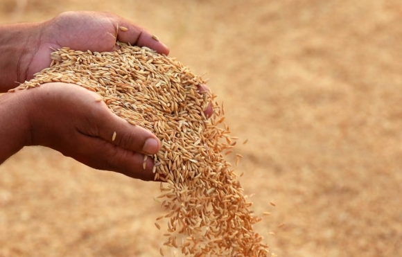 6 Thuy Dien  Nuoc Chau Au Dau Tien Khong Khoi Thuoc