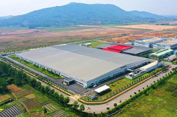 1 Mat Dien Dien Rong Doanh Nghiep Thap Thom San Xuat Cam Chung