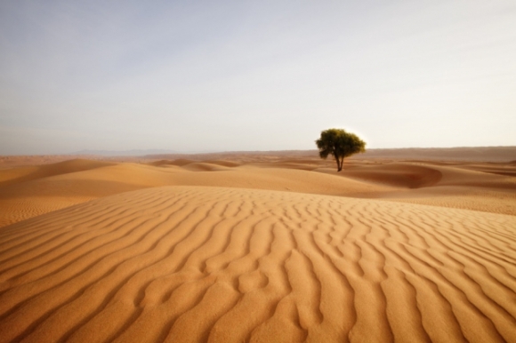 14 Nhung Su That Cuc Ky Thu Vi Ve Sa Mac Sahara It Ai Biet