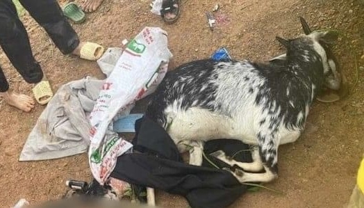 2 Khoi To Bi Can Bat Tam Giam Ba Can Bo Cong An Huyen My Duc Ban De Cua Dan