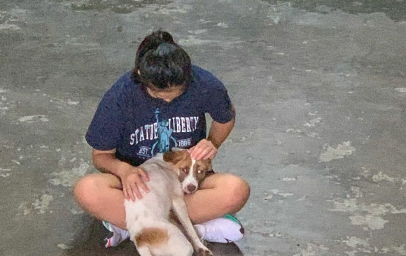 3 Nguoi Nuoc Ngoai Soc To Mo Voi Thit Cho O Viet Nam