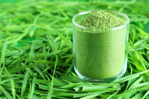 1 1 Loai Bot Duoc Menh Danh La Thuoc Tre Hoa Dung Thuong Xuyen Con Ho Tro Giam Can Va Phong Benh Ung Thu