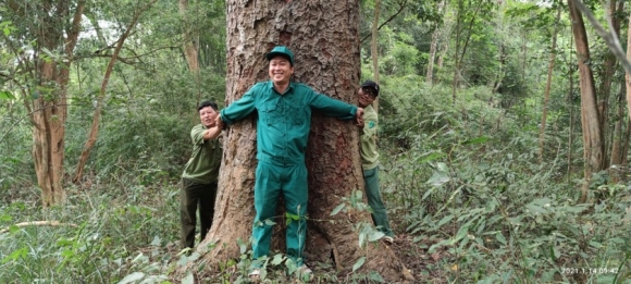 11 Chiem Nguong Hang Ngan Cay Lim Xanh O Rung Song Mong  Capet