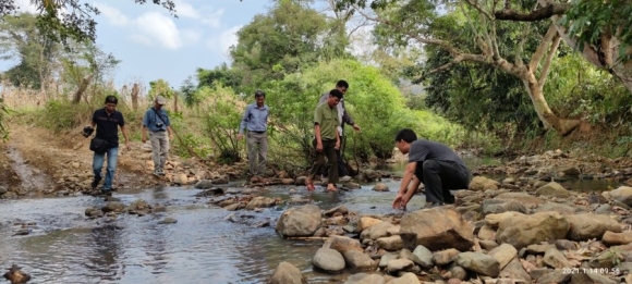 12 Chiem Nguong Hang Ngan Cay Lim Xanh O Rung Song Mong  Capet