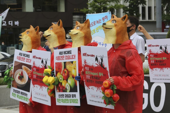 2 Han Quoc Can Nhac Cam An Thit Cho