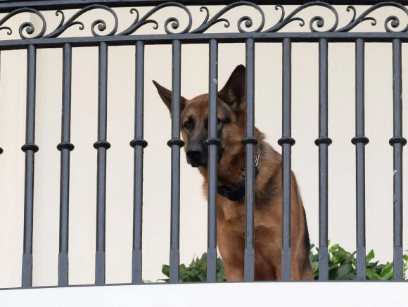 1 Cho Cung Cua Ong Biden Bi Truc Xuat Khoi Nha Trang