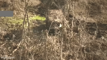 3 Ukraine Chan Dung Lu Doan Nga O Kherson