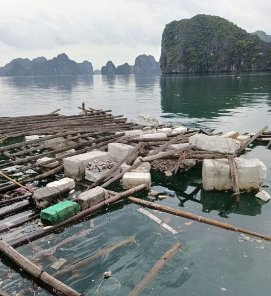 1 Lot Vao Danh Sach No List 2024 La Loi Canh Bao Cho Vinh Ha Long Ve Xa Rac