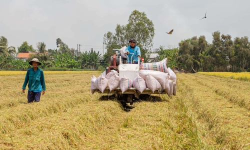 1 Nong Dan Ton 13 Tan Lua De Mua Laptop Cho Con Hoc Dai Hoc