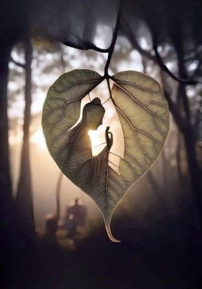 3 Ong Minh Tue Di Tu De Lam Gi