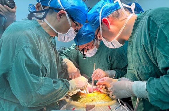 Lần đầu ghép thành công gan lợn chỉnh sửa gen cho người sống