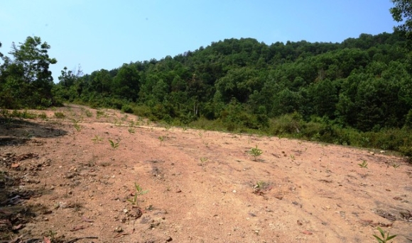 4 Chua Ba Vang O Quang Nam Nhan Tien Ty Cong Duc Roi Ngung Xay