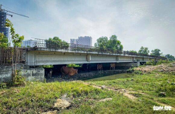 1 Lai Vay Tang Hon Tram Ti Moi Nam Nha Dau Tu Lam 27km Vanh Dai 2 Lo Du An Doi Von