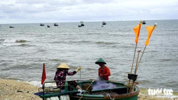 2 Vi Sao Tinh Ba Ria Vung Tau Lay Ten Long Dat Khi Sap Nhap Long Dien Va Dat Do