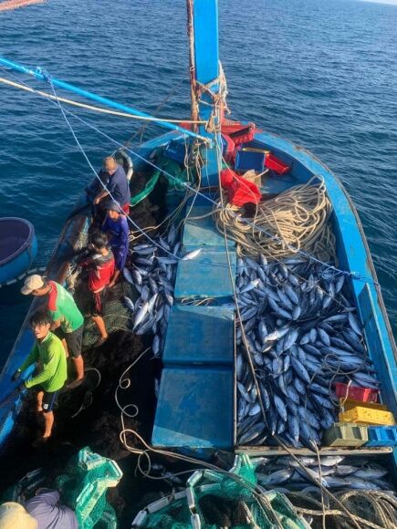 1 Chi Trong 1 Thang Nguoi Han Quoc Chi Gan 6 Trieu Usd De An Ca Ngu Viet Nam