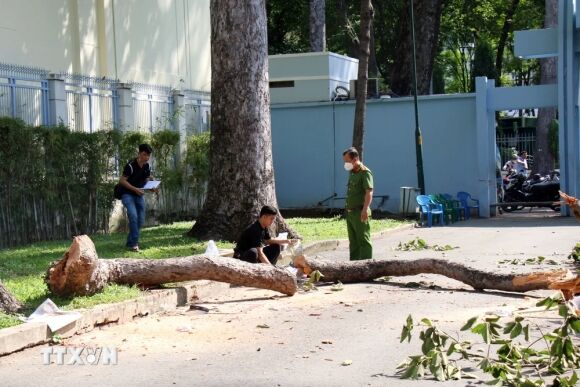 1 Vu Gay Cay O Cong Vien Tao Dan Xac Dinh 2 Nguoi Chet 3 Nguoi Bi Thuong