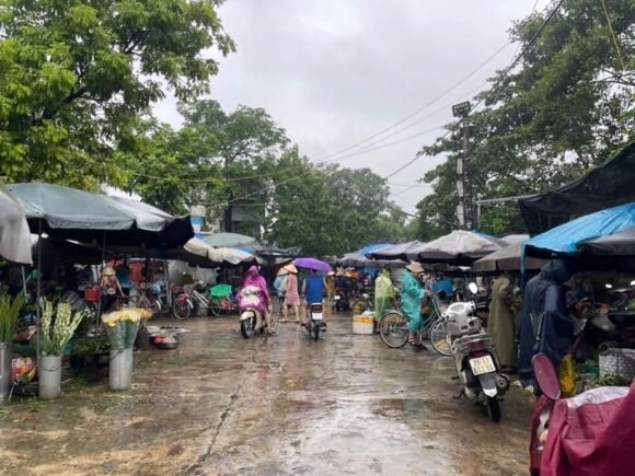 1 Can Canh Cho Ha Noi Nhung Ngay Mua Lu Nguon Cung Gia Ca Ra Sao