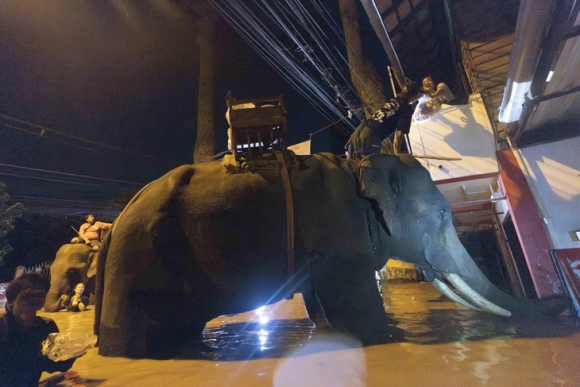 2 Thai Lan Voi Vuot Lu Ho Tro Nguoi Dan Vung Ngap