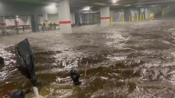 4 Bao Milton Can Quet Florida Gay Mua Nghin Nam Co Mot