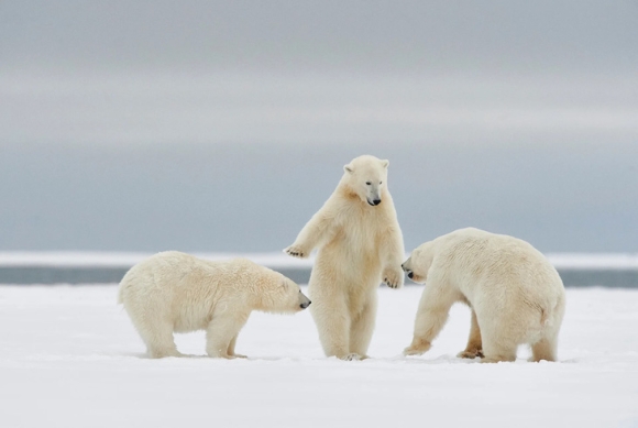 6 Tin Tuc The Gioi 10 10 Bao Milton Giam Cap Sap Vao Florida Thiet Hai Du Bao Rat Lon